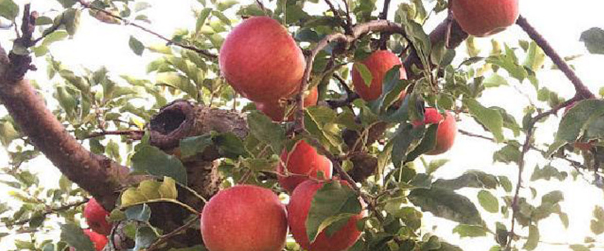 新技術(shù)設(shè)備研發(fā)拓展